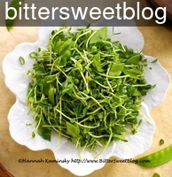 bittersweetblog_