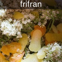 frifran_elderflower_