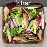 frifran_endive_salad