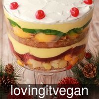 lovingitvegan_festiv