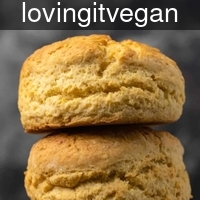 lovingitvegan_ve