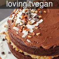 lovingitvegan_ve