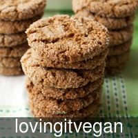 lovingitvegan_ve