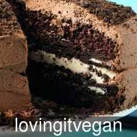 lovingitvegan_ve