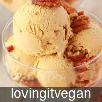 lovingitvegan_ve