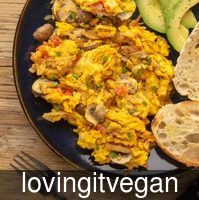 lovingitvegan_vegan_