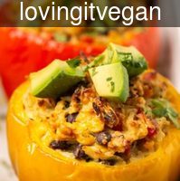 lovingitvegan_vegan_