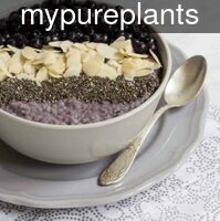 mypureplants_blu