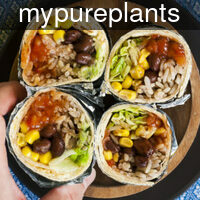 mypureplants_copycat