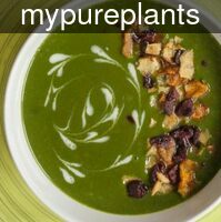 mypureplants_cream_o