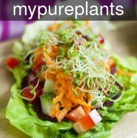 mypureplants_fresh_g