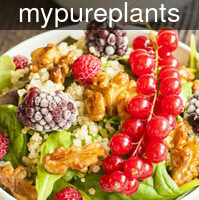 mypureplants_quinoa_