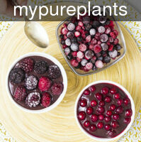 mypureplants_vegan_c