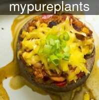 mypureplants_vegan_s