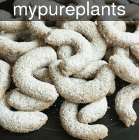 mypureplants_walnut_