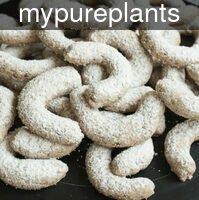 mypureplants_wal