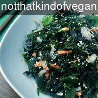 notthatkindofvegan_o