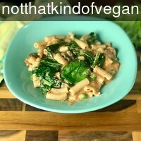 notthatkindofvegan_v