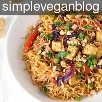 simpleveganblog_vega