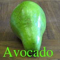 Avocado