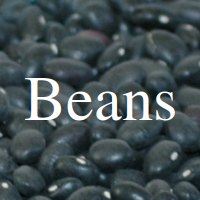 Beans