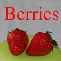 Berry