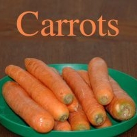 Carrot