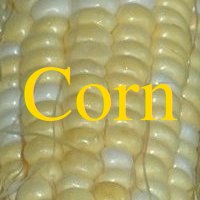 Corn