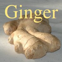 Ginger