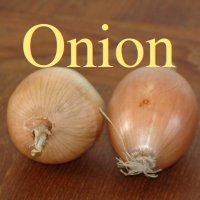 Onion