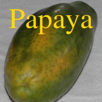 Papaya