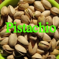 Pistachio