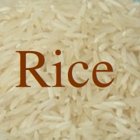 Rice