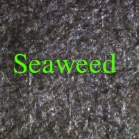 Seaweed