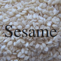 Sesame