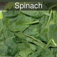 Spinach