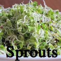 Sprouts