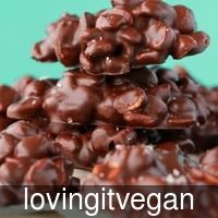 lovingitvegan_se