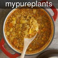 mypureplants_30-min_