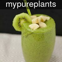mypureplants_green_l
