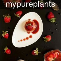 mypureplants_veg