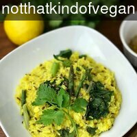 notthatkindofvegan_s